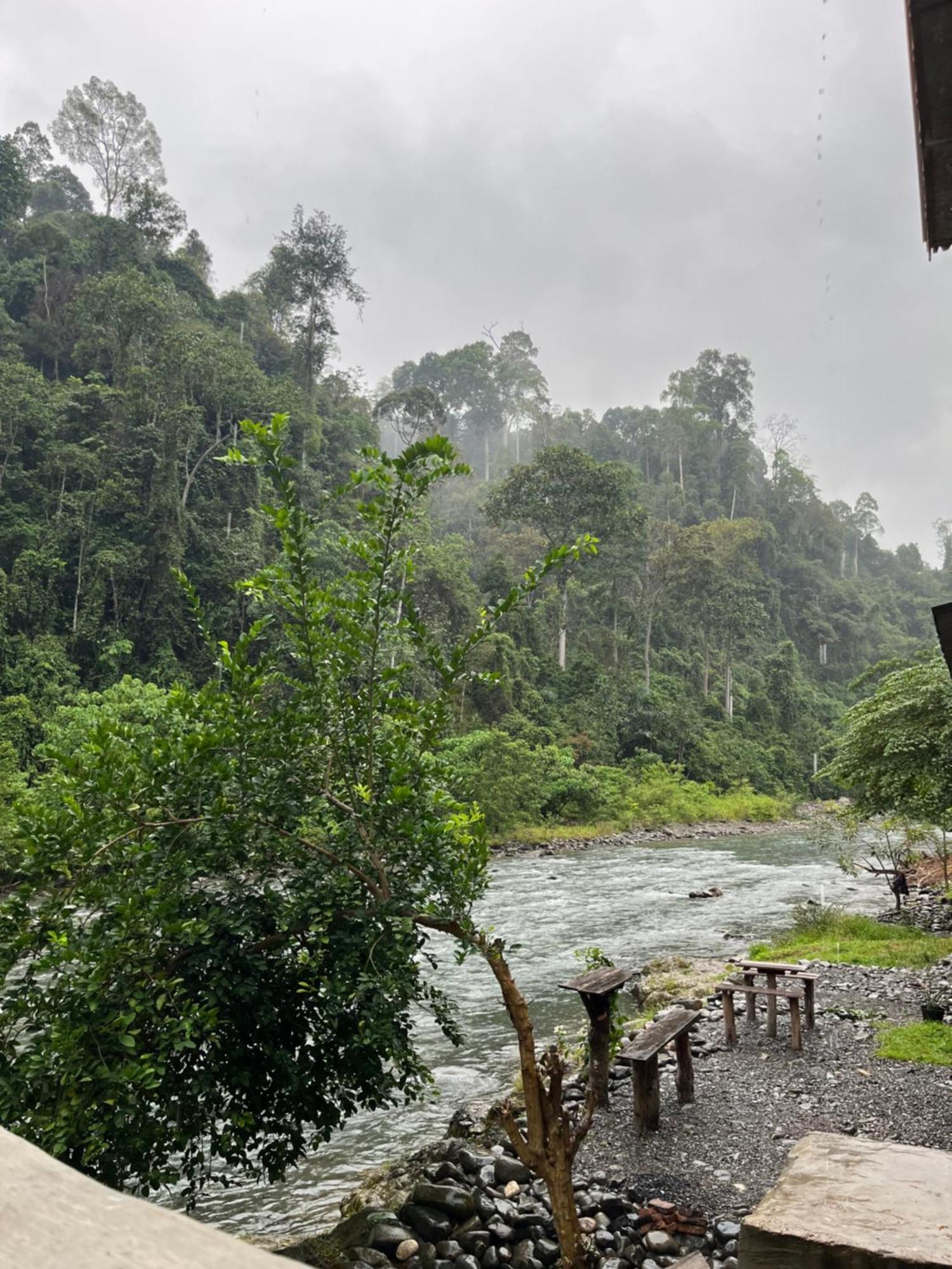 Ridho'S Homestay & Jungle Trekking Bukit Lawang Esterno foto