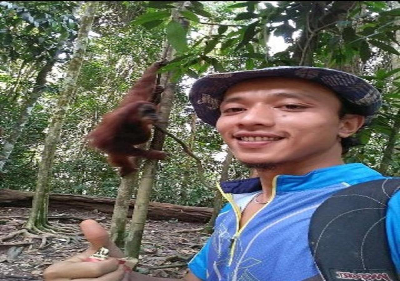 Ridho'S Homestay & Jungle Trekking Bukit Lawang Esterno foto