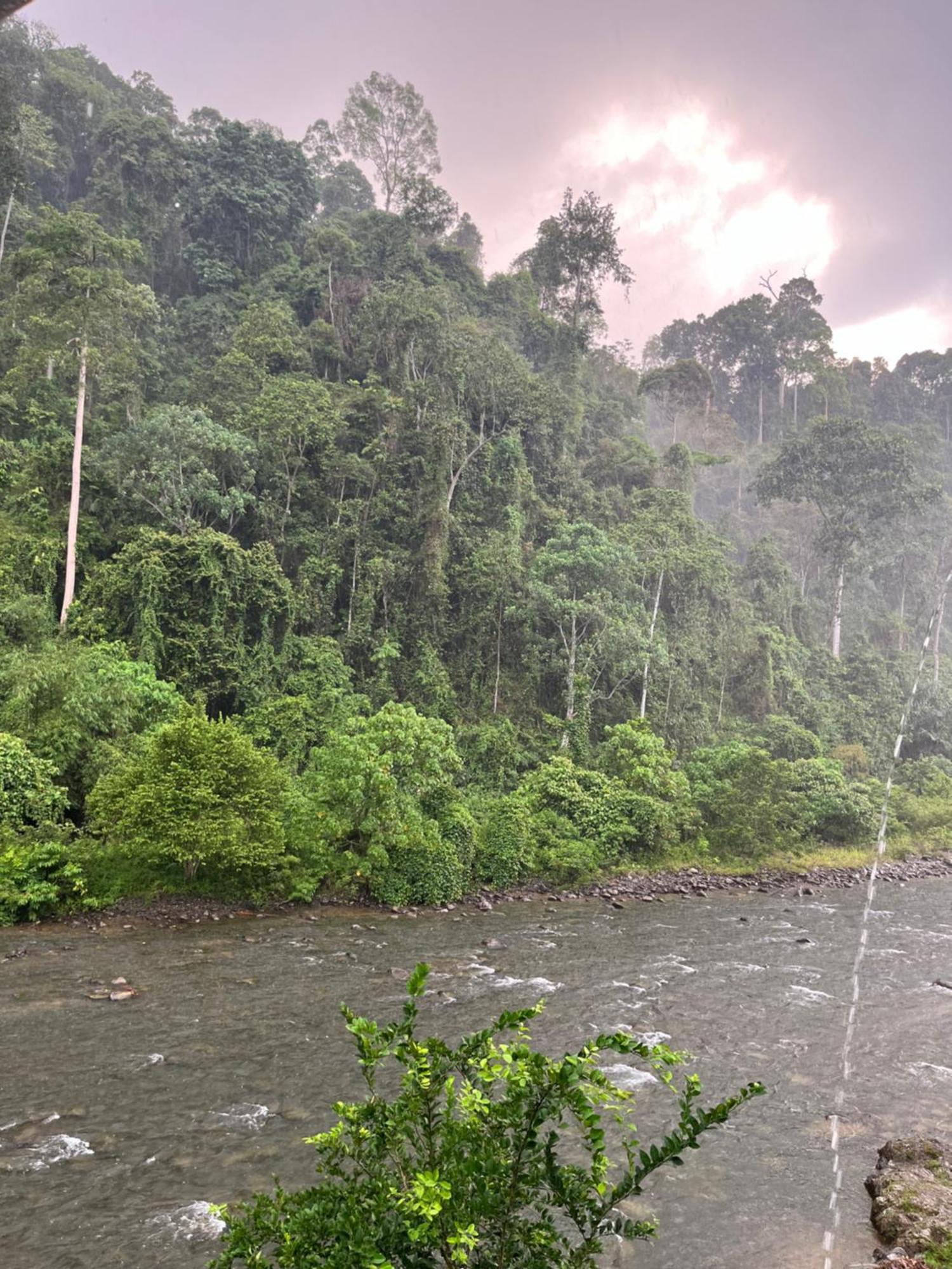 Ridho'S Homestay & Jungle Trekking Bukit Lawang Esterno foto