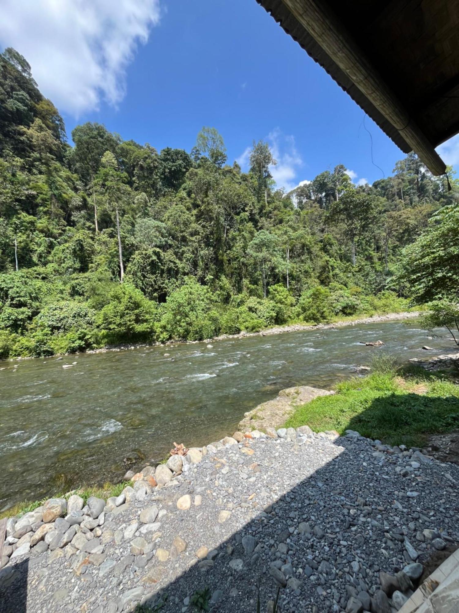 Ridho'S Homestay & Jungle Trekking Bukit Lawang Esterno foto